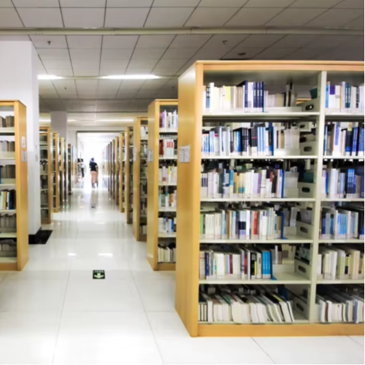 Prateleira para livros dupla f - Home Office Library avaliação e preço